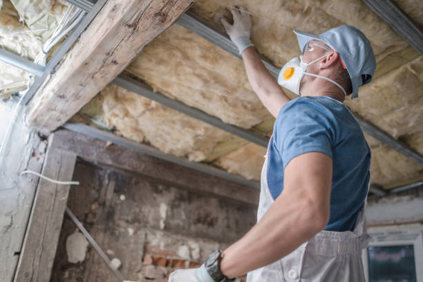 Best Blown-in Insulation in Spring Arbor, MI